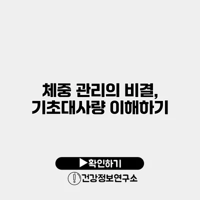 체중 관리의 비결, 기초대사량 이해하기
