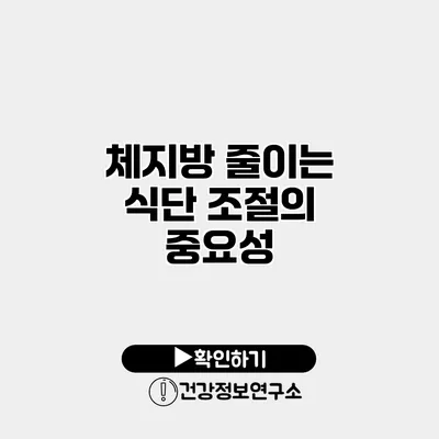 체지방 줄이는 식단 조절의 중요성