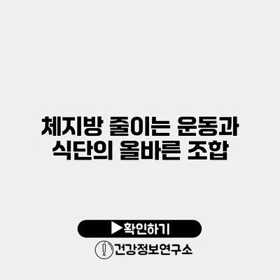체지방 줄이는 운동과 식단의 올바른 조합