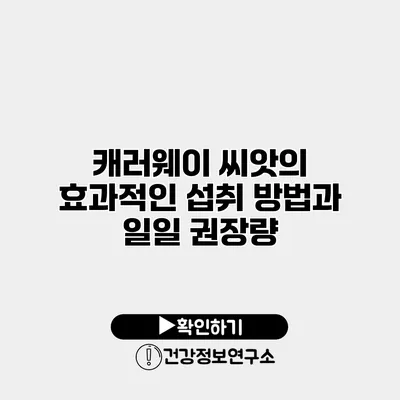 캐러웨이 씨앗의 효과적인 섭취 방법과 일일 권장량