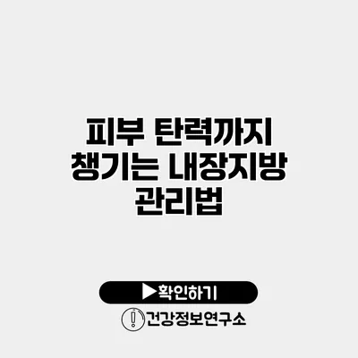 피부 탄력까지 챙기는 내장지방 관리법